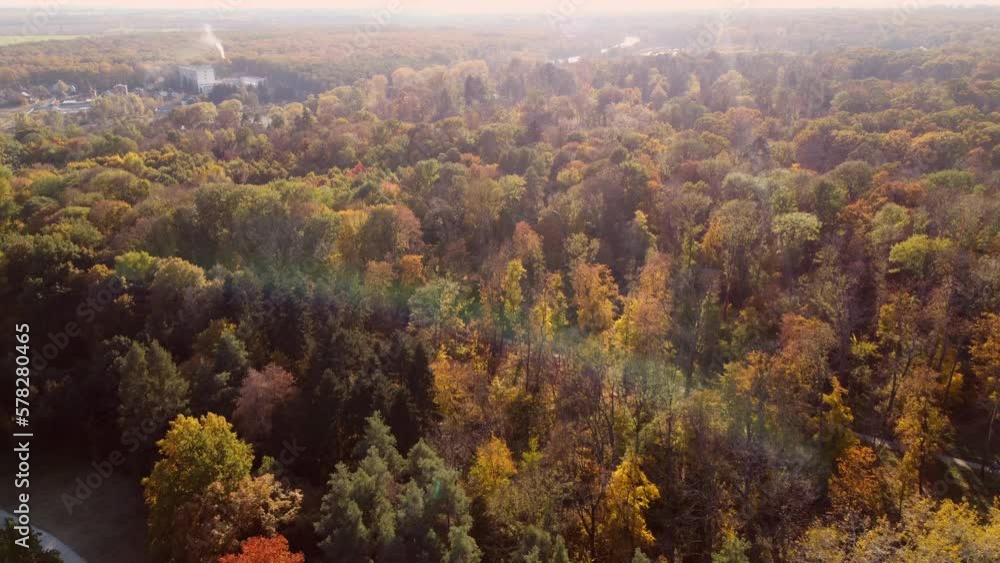 Beautiful panoramic view of many trees with yellow leaves, treetops and paths with people walking in park on bright sunny autumn day. Natural environment background. Concept autumn nature leaf fall Beautiful panoramic view of many trees with yellow leaves, treetops and paths with people walking in park on bright sunny autumn day. Natural environment background. Concept autumn nature leaf fall