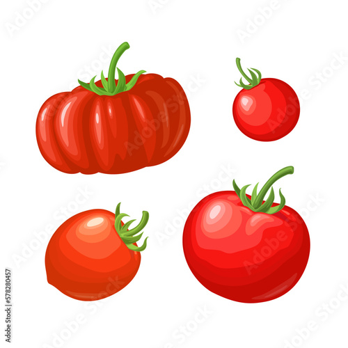 4 different types tomatoes. Side view. Icon isolated on white