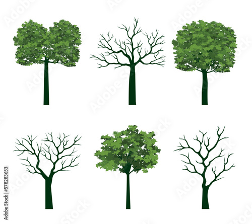 Set Trees isolated on white. Vector plant.