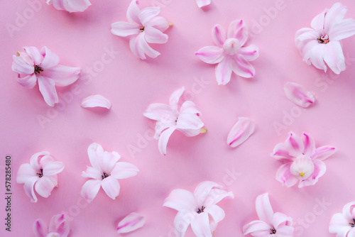 A minimal style concept. Pink geacinth flowers on a pale pink background. Summer or spring concept. Flat lay, top view.