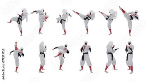 Fotografija A ninja kicks an enemy in the head