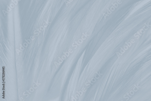 Gray feather wooly pattern texture background