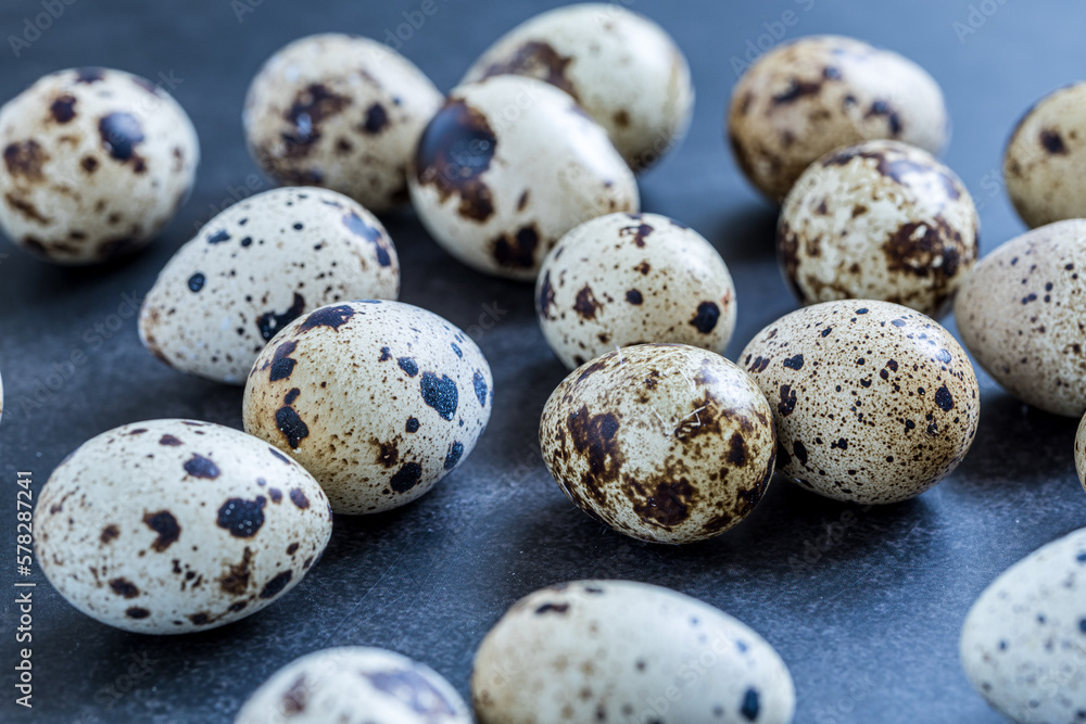Easter quail eggs. Spring background with small easter quail eggs. Vintage photo processin Easter quail eggs. Spring background with small easter quail eggs. Vintage photo processin