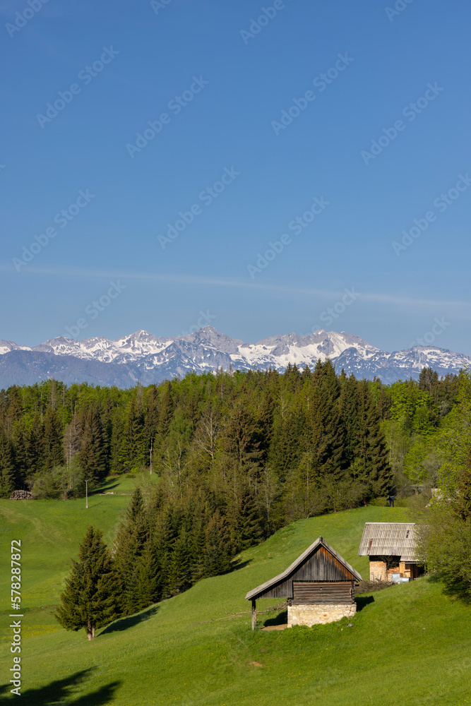 Typical wooden log cabins in Gorjuse, Triglavski national park, Slovenia