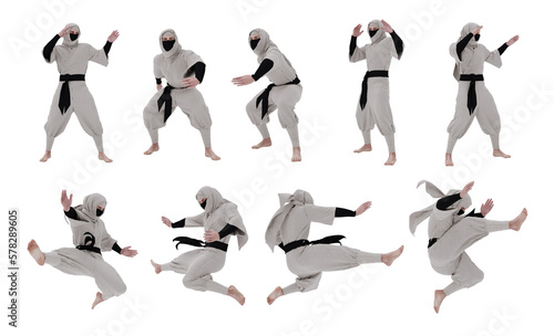 Slika na platnu 3d Ninja warrior isolated