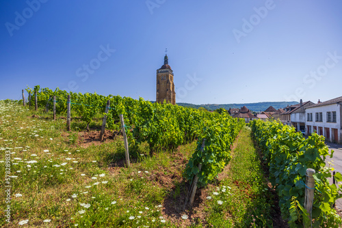 Vineyards with Arbois church, Department Jura, Franche-Comte, France photo