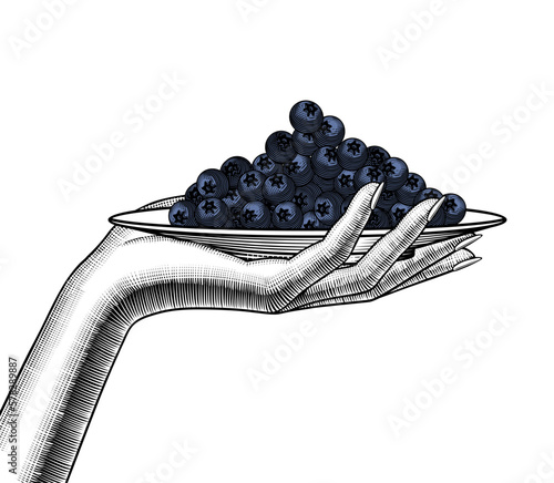 The concept of healthy eating and veganism. A woman's hand with a plate of black berries. Antique engraving, stylized drawing. Vector illustration