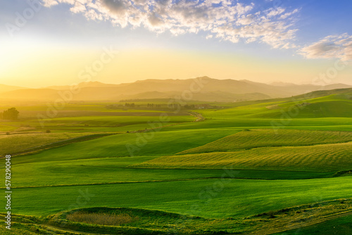 beautiful green valley with green fields with green spring grass with nive hills Fototapet