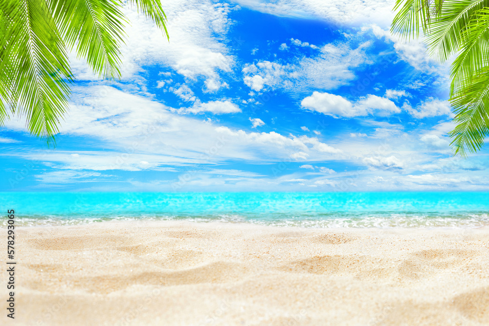 Tropical island sea beach background, turquoise ocean wave, sand, sun blue sky white cloud, green coconut palm tree leaf, paradise nature landscape, summer holidays, vacation, travel, empty copy space