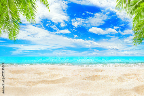 Tropical island sea beach background, turquoise ocean wave, sand, sun blue sky white cloud, green coconut palm tree leaf, paradise nature landscape, summer holidays, vacation, travel, empty copy space
