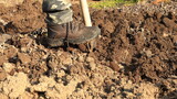 vangare l' orto, scavare e rovesciare la terra con la pala, preparare il terreno per futura semina e trapianto