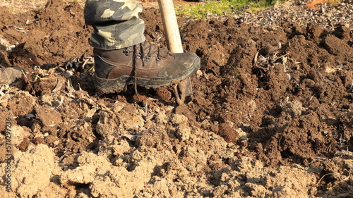 vangare l' orto, scavare e rovesciare la terra con la pala, preparare il terreno per futura semina e trapianto photo