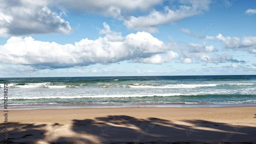 Landscape view and dog running on sandy beach background. Landscape view and dog running on sandy beach background.