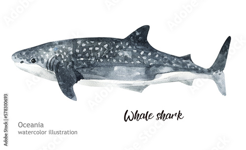Watercolor cute Whale shark. Hand painting postcard with Whale shark isolated white background. Ocean animals