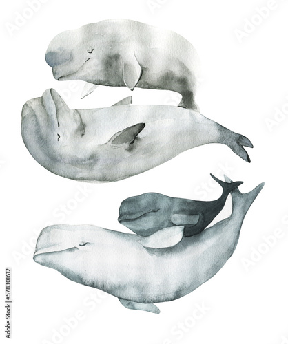 Print op canvas Watercolor cute beluga whale