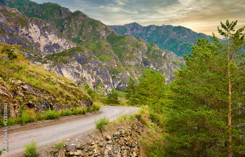 Steep mountain road along a steep cliff with tall centuries-old pine trees. The route among the beautiful high mountains with dense green vegetation