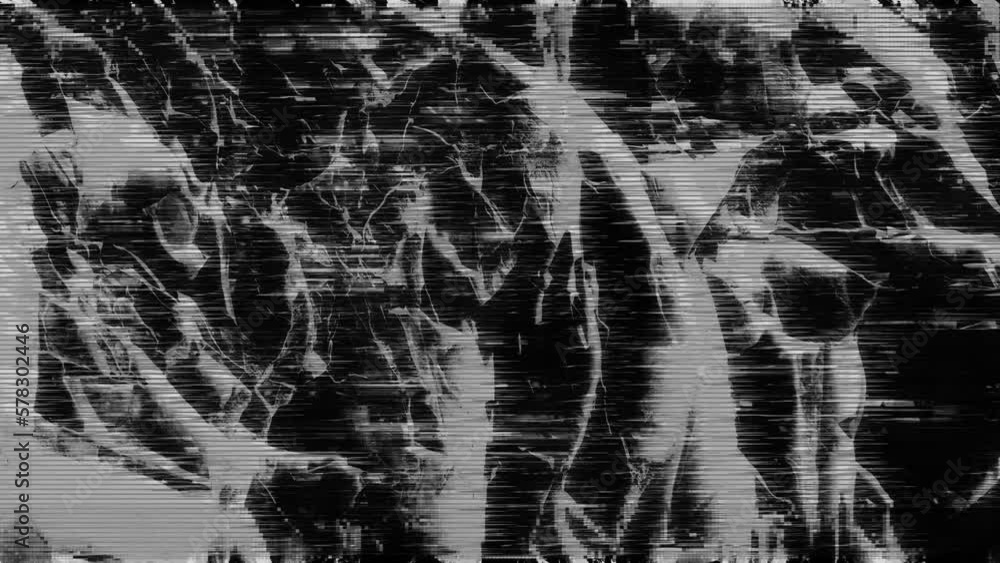 Glitch Black & White is a cool stock motion graphic for your video