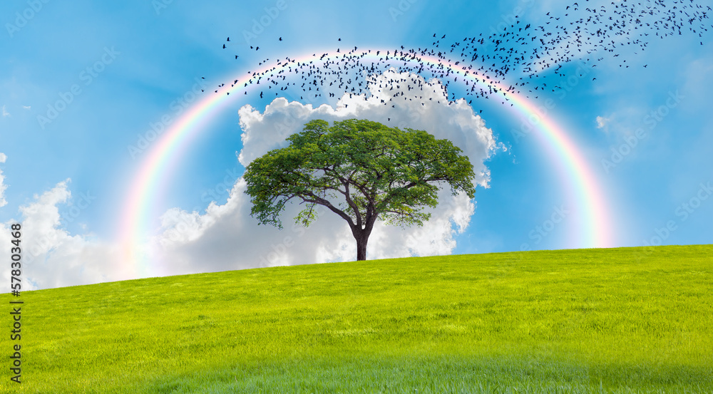 Beautiful landscape with green grass field and lone tree amazing rainbow in the background Beautiful landscape with green grass field and lone tree amazing rainbow in the background