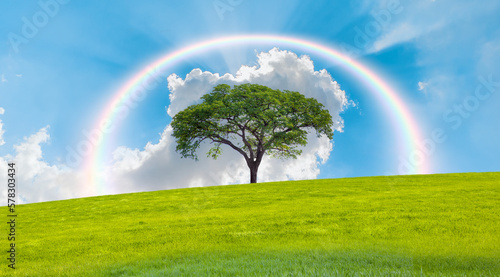 Beautiful landscape with green grass field and lone tree amazing rainbow in the background 