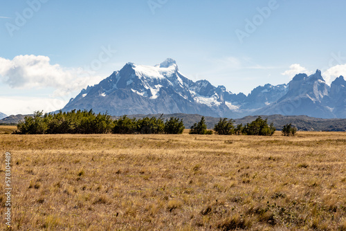 Golden Pampas and snowy mountains of Torres del Paine National Park in Chile, Patagonia, South America