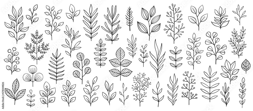 Plant brunches doodle illustration including different tree leaves. Hand drawn cute line art of forest flora - eucalyptus, fern, berries, blueberries. Outline rustic botanical drawing for coloring - obrazy, fototapety, plakaty 