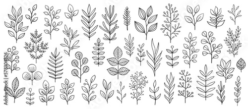 Fotografiet Plant brunches doodle illustration including different tree leaves