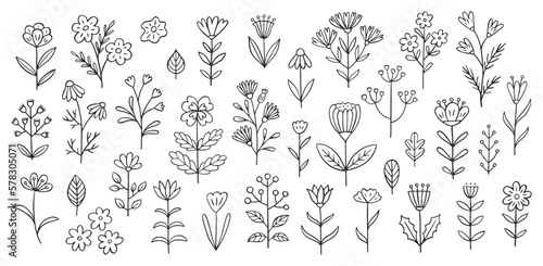Fotografiet Flower doodle illustration including different field herbs