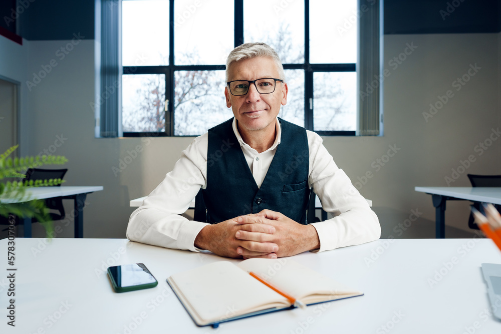 Portrait of mature businessman in the office. Portrait of mature businessman in the office.