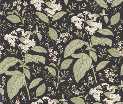 Seamless pattern. Heliotrope garden wildflowers. Beautiful blooming realistic isolated flowers. Vintage background fabric Wallpaper baroque Drawing engraving sketch Vector victorian illustration retro