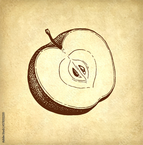 Sliced apple ink sketch.