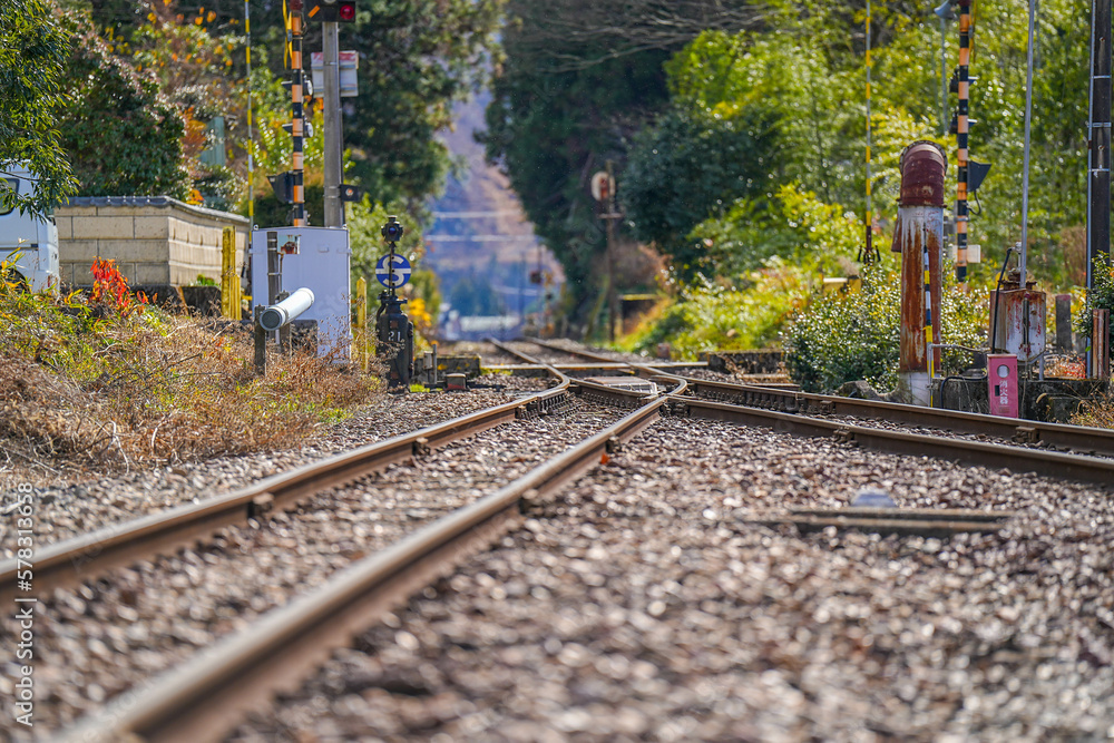 Fototapeta premium 樽見鉄道