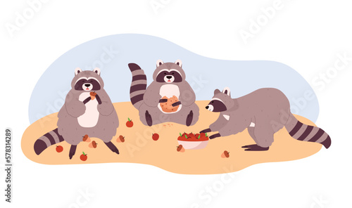 Group of raccoons eating apples and acorns, cartoon flat vector illustration isolated on white background.