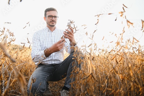 farmer agronomist in soybean field checking crops before harvest. Organic food production and cultivation.