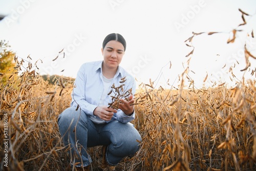 A young female farmer is working in a soybean field at sunset.