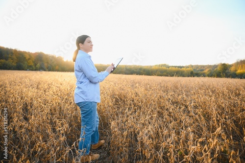 Female farmer or agronomist examining soybean plants in field.