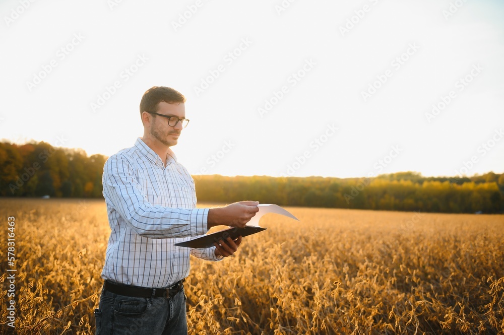 Agronomist inspects soybean crop in agricultural field - Agro concept - farmer in soybean plantation on farm Agronomist inspects soybean crop in agricultural field - Agro concept - farmer in soybean plantation on farm