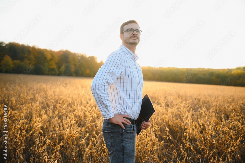 Portrait of farmer standing in soybean field examining crop at sunset. Portrait of farmer standing in soybean field examining crop at sunset.
