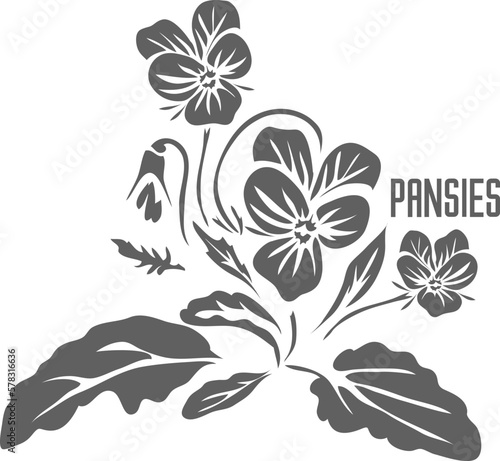 Pansy flower vector silhouette. Herba violae medicinal herbal outline. Viola tricolor herb silhouette for pharmaceuticals and cosmetology. A set of Heartsease wild pansy outlines.