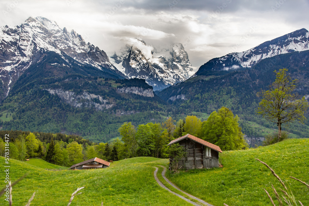 Obraz premium Rustic farmhouse sits in a lush green meadow, surrounded by towering, snow-capped peaks of the Swiss Alps. The serene, scenic landscape captures the peaceful beauty of rural Switzerland