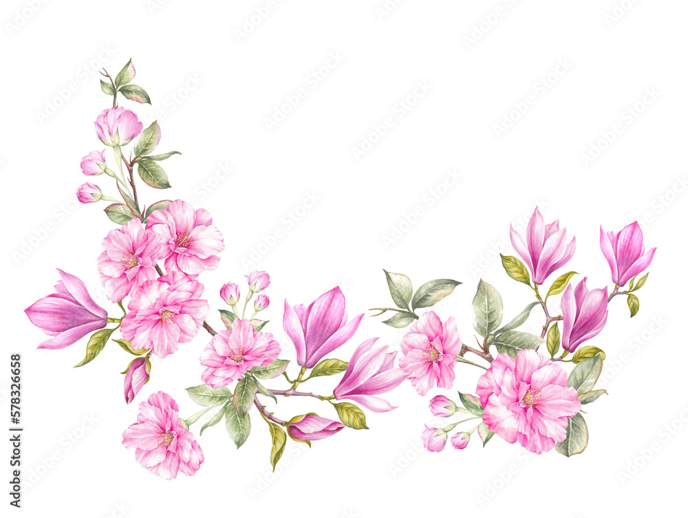 Differents flower magnolia and sakura on white background. Watercolor floral illustration