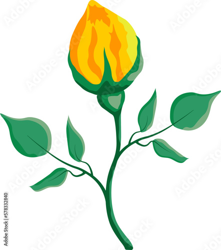 Yellow rose flowers with leaves design element on transparent background  vector