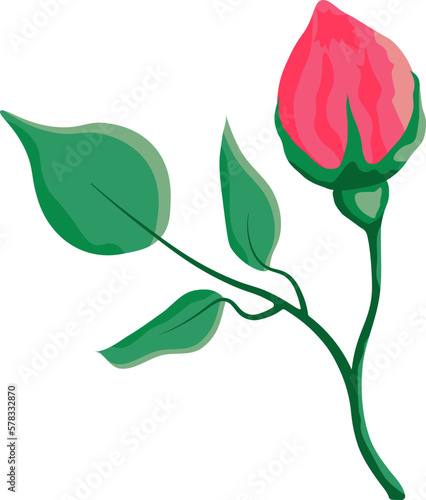 Pink rose flowers with leaves design element on transparent background  vector