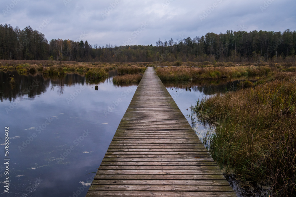 Naklejka premium wooden bridge over the river