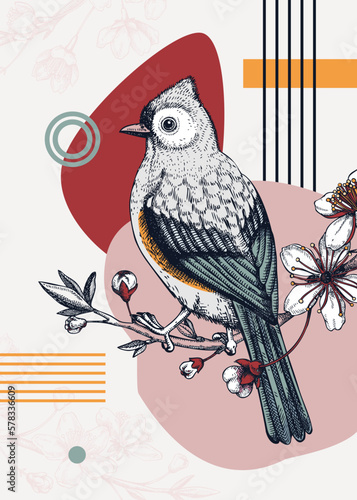 Collage-style bird card. Sketched tufted titmouse trendy poster. Creative designs with bird sketch, botanical illustrations, geometric shapes, and abstract elements for print, wall art, packaging.