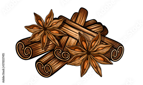 Star anise and cinnamon colour vector illustration
