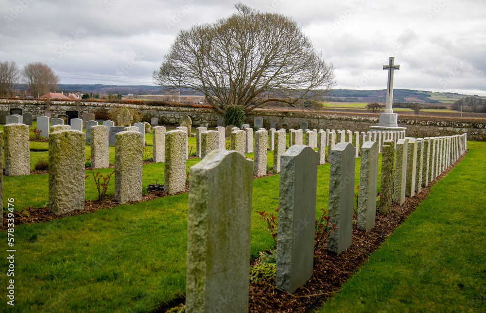 Naklejka premium Rows of war graves