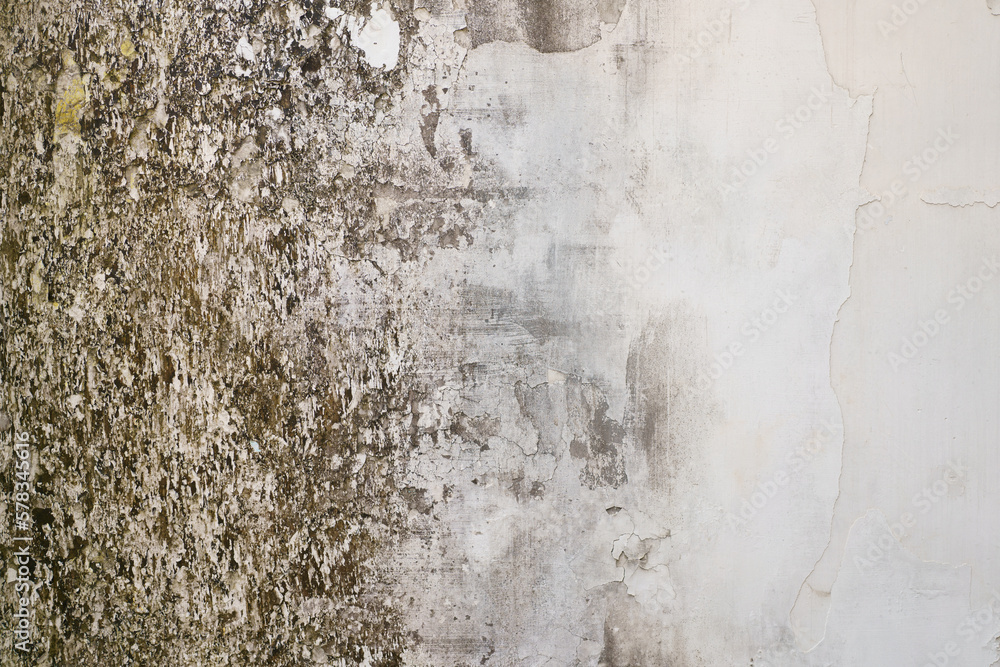 Fototapeta premium Loft-style plaster walls, gray, white, empty space used as wallpaper. Popular in home design or interior design. with copy spaces.