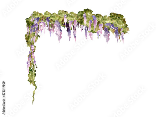 Flower plant watercolor