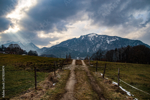 Natur in den Alpen 