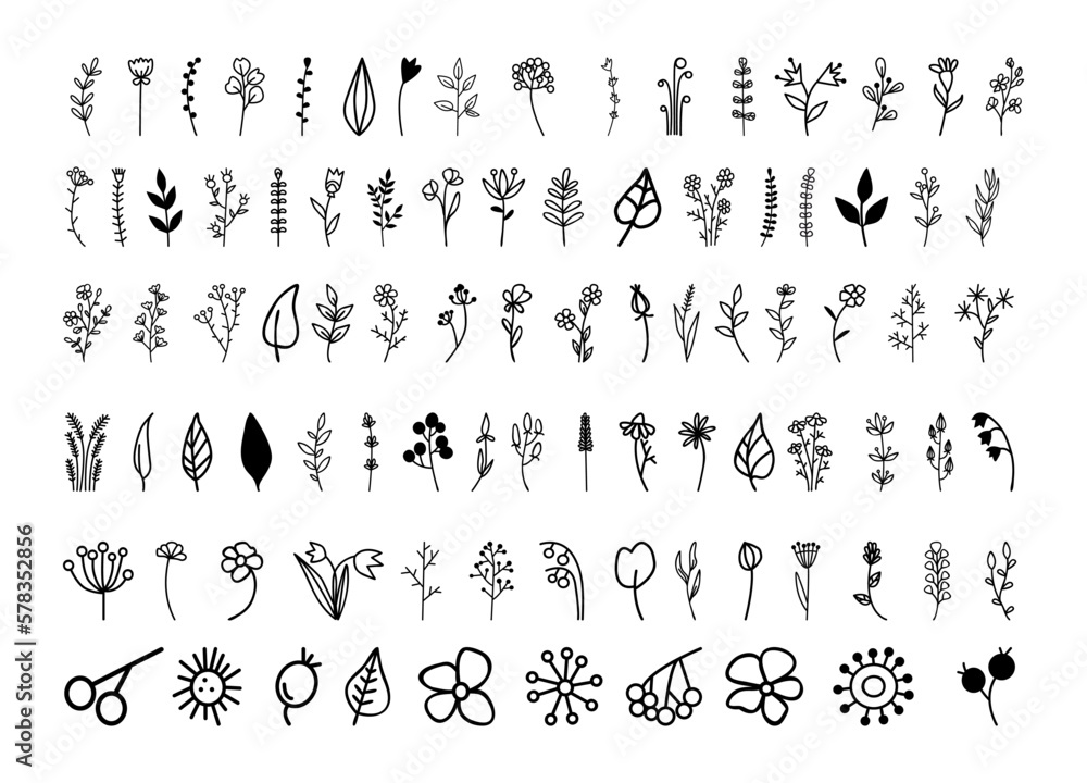 Vector floral graphic elements. Set of flowers and plants hand drawn in doodle style.